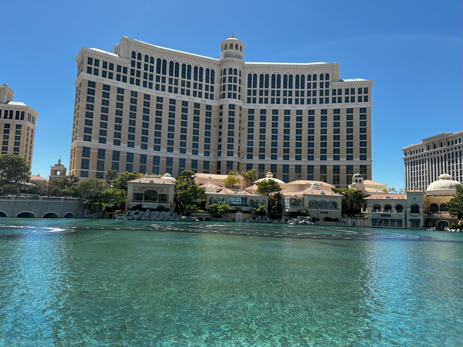 Bellagio Buffet The 1 in Las Vegas A Food Lover's Delight