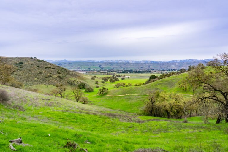 Spring day in Coyote Valley open space preserve.